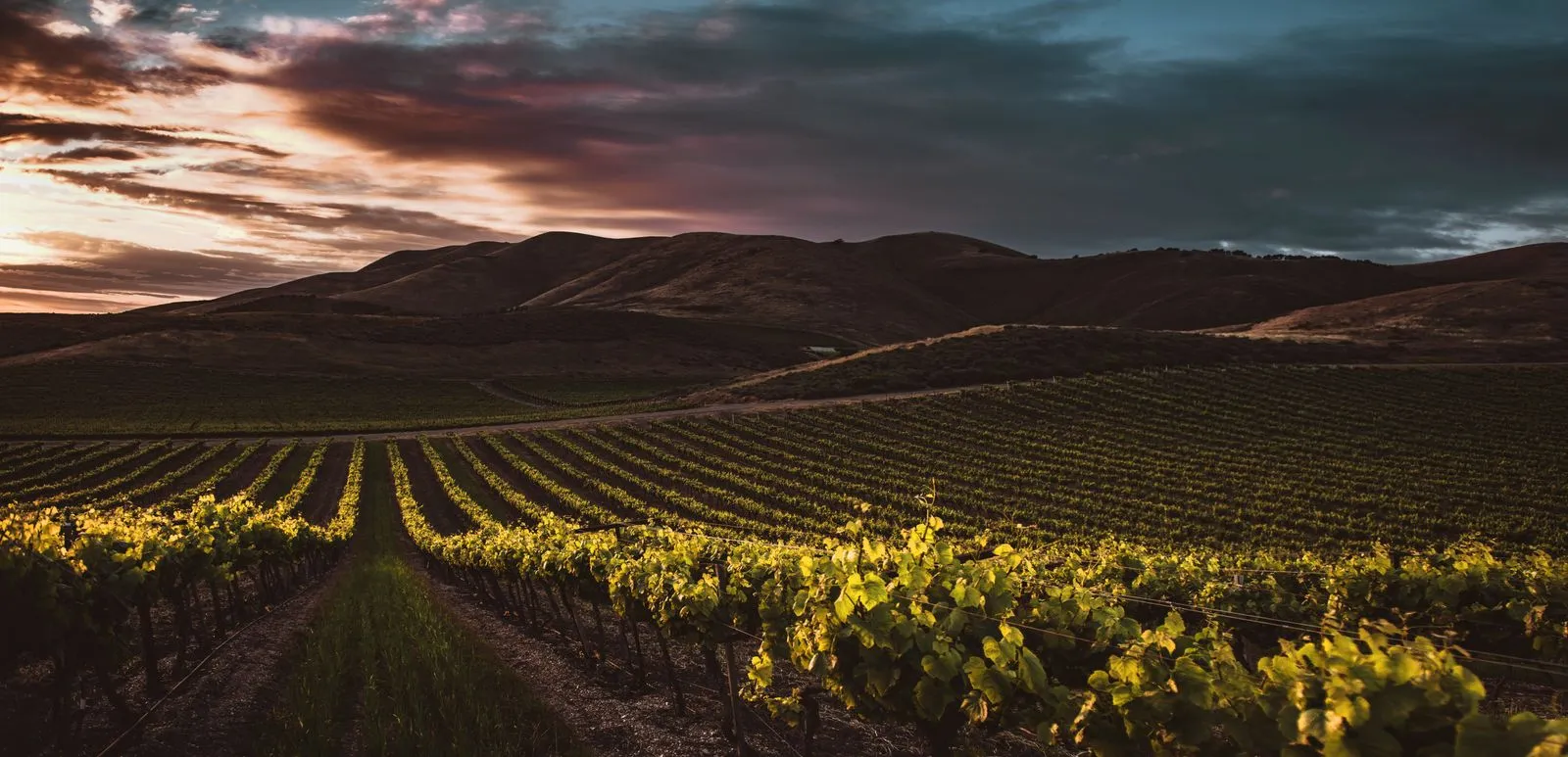 How to Taste Wine at a Winery